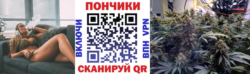 Наркотические вещества Олёкминск hydra как войти  Метамфетамин  Амфетамин  Гашиш  Меф мяу мяу  КОКАИН 