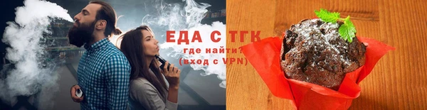 индика Елабуга