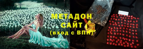 трава Белокуриха