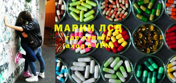трава Белокуриха