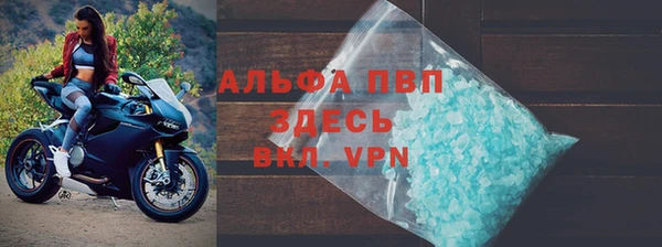 трава Белокуриха