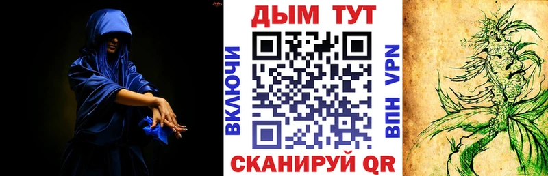 Марихуана сатива  Олёкминск 